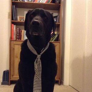 Meet your Posher, Cade